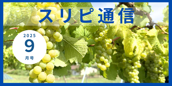 2025年9月号