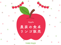 【農家の食卓りんご】品種おまかせ｜３kg程度（毎日のりんご）