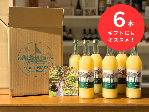 たくみの里無添加りんごジュース 2本（ミックス） | たくみの里