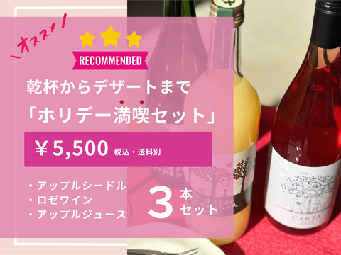 【クリスマス｜お歳暮｜年末年始｜3本セット】乾杯からデザートまで「ホリデー満喫セット」オリジナル缶バッジプレゼント