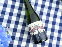 【2026年】新春初売りセール！3セット！（送料込み！）