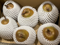 【訳あり・陸前高田産ラ・フランス】自家用ラ・フランスをおすそわけ｜香り高く、口の中でとろけるような舌ざわりの「ラ・フランス」！