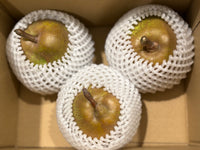 【訳あり・陸前高田産ラ・フランス】自家用ラ・フランスをおすそわけ｜香り高く、口の中でとろけるような舌ざわりの「ラ・フランス」！