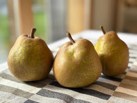 【訳あり・陸前高田産ラ・フランス】自家用ラ・フランスをおすそわけ｜香り高く、口の中でとろけるような舌ざわりの「ラ・フランス」！