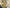 【ギフト可｜お歳暮｜クリスマス】REGALO 2022 メルロ・ピノグリ（720ml）２本セット