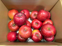 【農家の食卓りんご】品種おまかせ｜３kg程度（毎日のりんご）