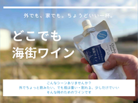 どこでも海街ワイン｜3個セット