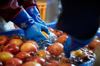 りんご屋まち子のアップルシードル（375ml）スリーピークスのフラッグシップのハーフサイズ