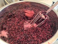 【赤】REGALO 2023 メルロ（750ml）甘やかな香りを感じる柔らかな雰囲気 記念日や大切な方への贈り物に人気