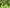 【ギフト｜お祝い｜内祝い】りんご屋まち子シリーズ３本セット（アップルジュース720ml３本）