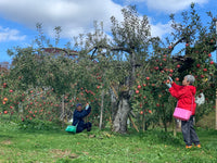 ６本セット りんご屋まち子のアップルジュース（720ml）G7広島サミット海外メディアおもてなし商品