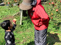 ６本セット りんご屋まち子のアップルジュース（720ml）G7広島サミット海外メディアおもてなし商品