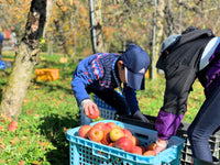 【誕生日｜ギフト｜記念日】りんご屋まち子シリーズ ３本セット（シードル・アップルワイン・ジュース）
