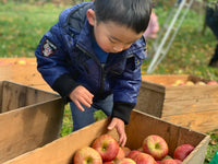 ６本セット りんご屋まち子のアップルジュース（720ml）G7広島サミット海外メディアおもてなし商品