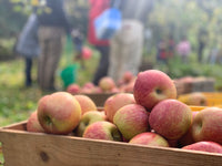 【ギフト｜お祝い｜内祝い】スキッと最高の乾杯セット（シードル／ジュース）２本セット