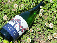 【記念日｜誕生日｜内祝い】一番人気！元気な泡の乾杯とゆったりワインタイム（シードル／アップルワイン）