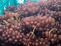 【白】REGALO 2023　ピノ・グリ（750ml）TRAIN SUITE 四季島 | JR東日本のレストランにオンリスト